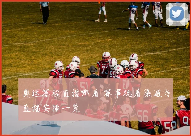 奥运赛程直播哪看 赛事观看渠道与直播安排一览