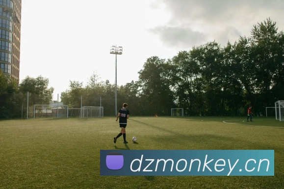 足球世界杯官网中文版平台生态图